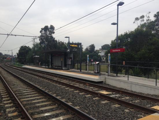 Hawthorne Canal Reserve